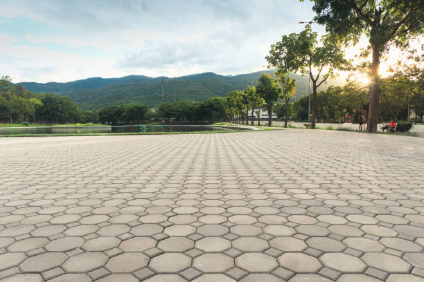 Best Decorative Driveway Pavers  in Canutillo, TX