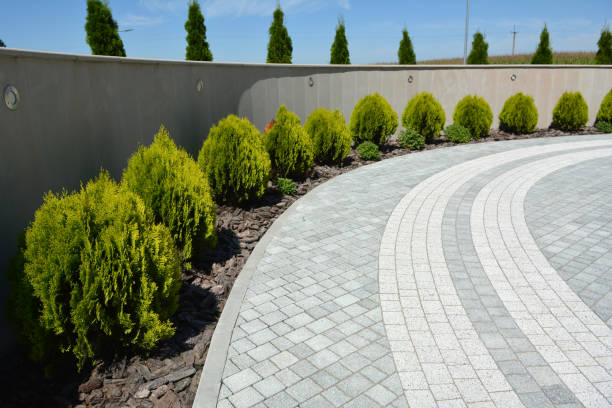 Driveway Repair Near Me in Canutillo, TX
