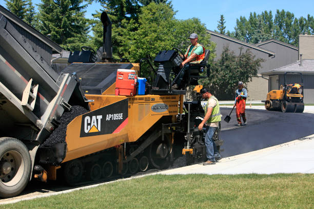 Best Residential Paver Driveway  in Canutillo, TX
