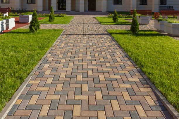 Best Commercial Driveway Pavers  in Canutillo, TX