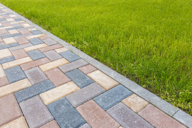 Best Decorative Driveway Pavers  in Canutillo, TX